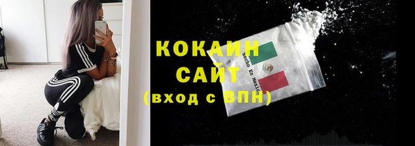 эйфоретик Аркадак