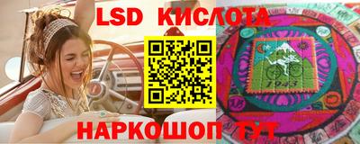 хмурый Сланцы