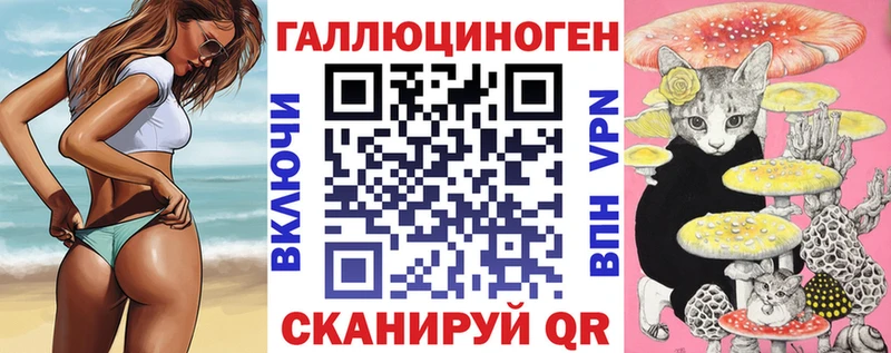 Псилоцибиновые грибы Cubensis Сосновый Бор