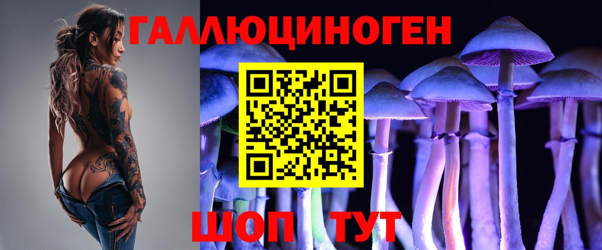 Псилоцибиновые грибы GOLDEN TEACHER Сосновый Бор